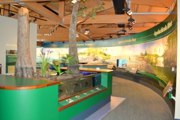 Image of the Apalachicola National Estuarine Research Center.