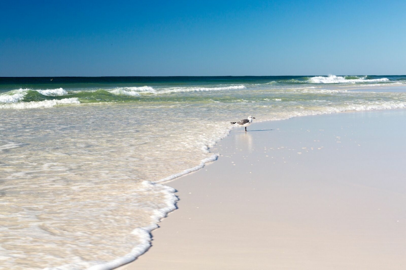 Image of shoreline of South Walton beach.