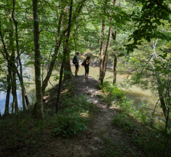 Image of people following a hiking trail along the water.