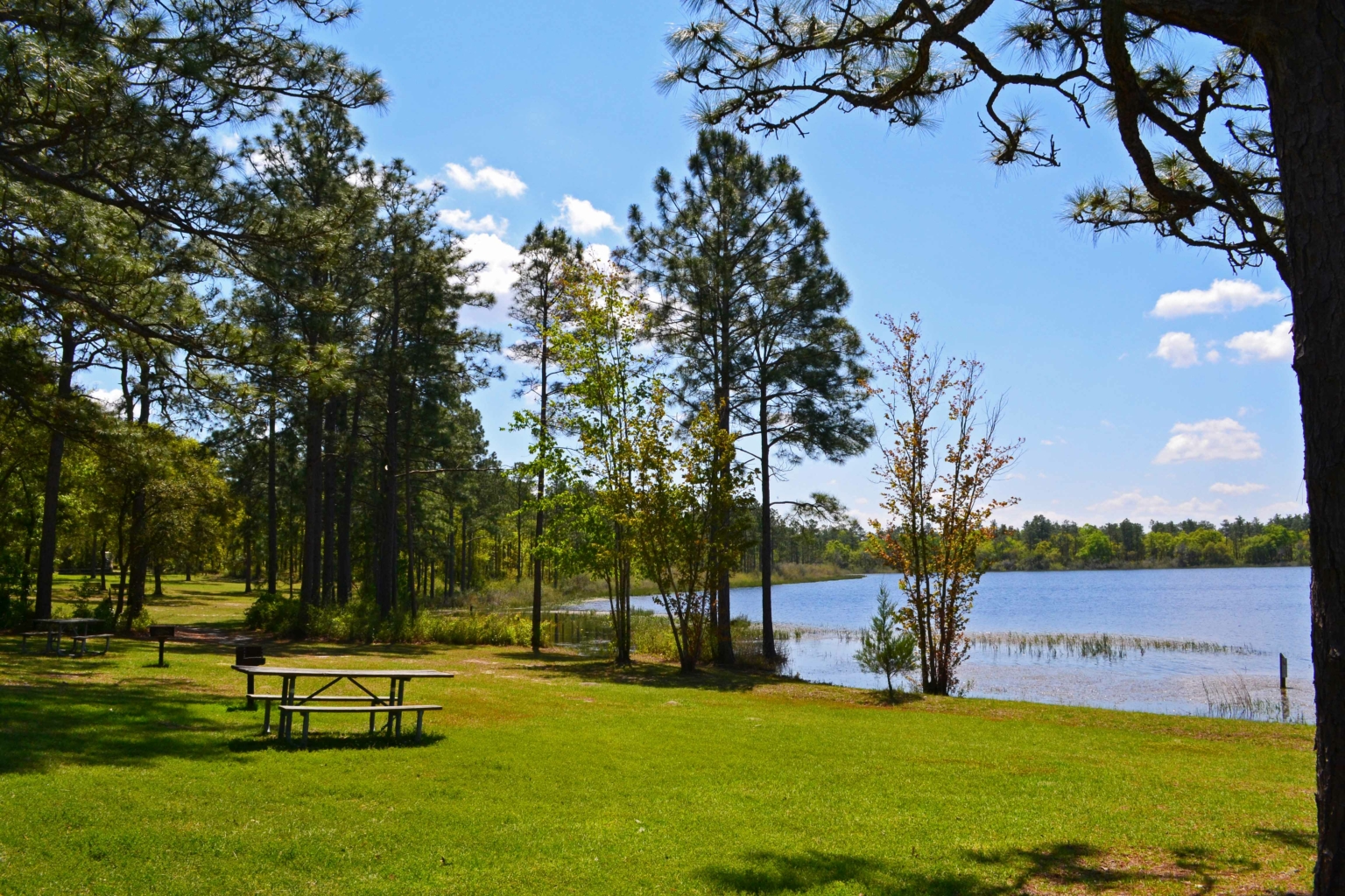 Recreation & Management Areas | Explore Northwest Florida