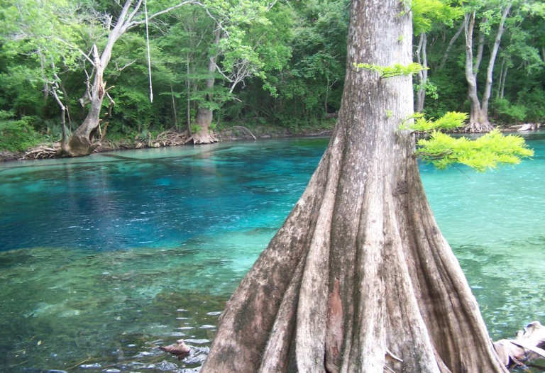 Natural Springs Explore Northwest Florida