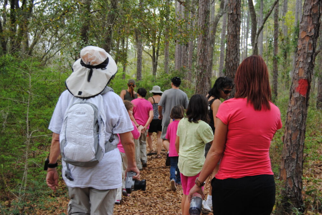 A group of people following the blaze marked trees along a hiking trail.