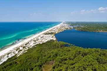 Aerial view of the shoreline at Grayton Beach Drive