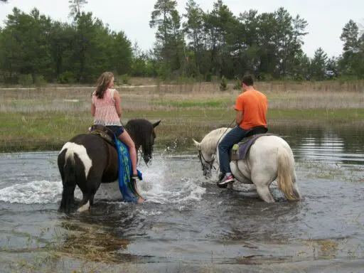 riding through unique water landscapes on horseback