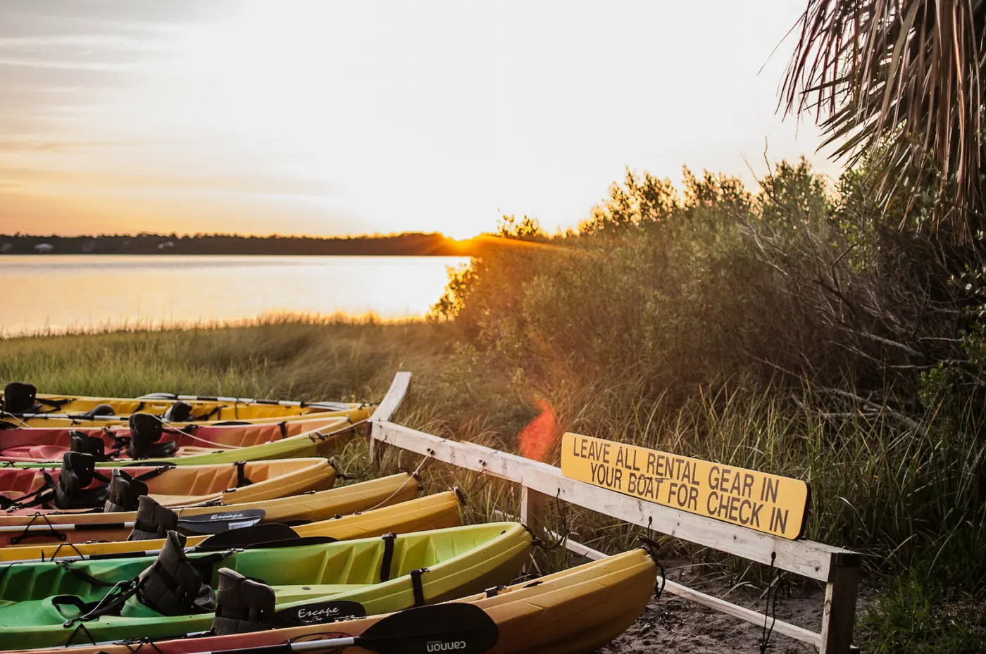 Image of kayaks lined up on the beach at sunset.