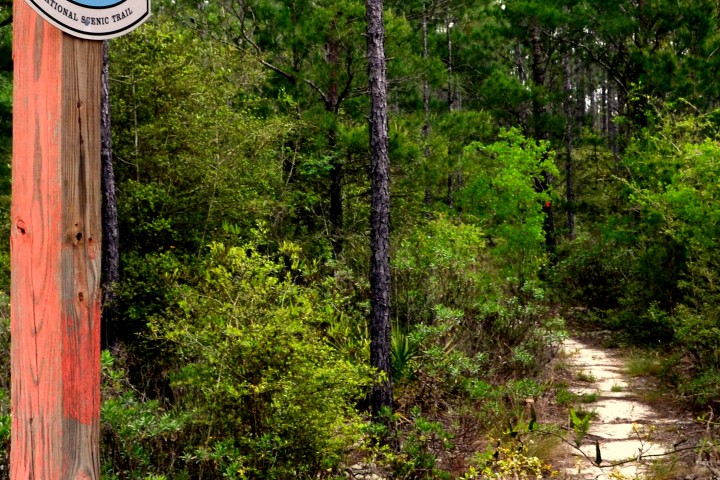 Florida Trail pathway beside a trail marker.