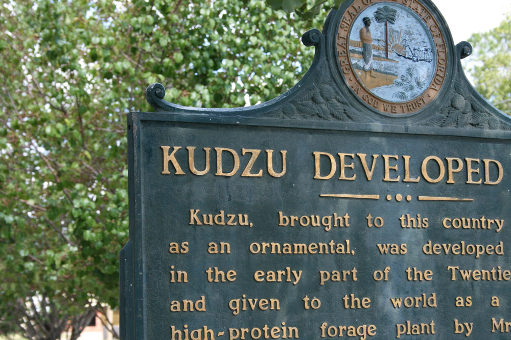 Image of the Kudzu development site.