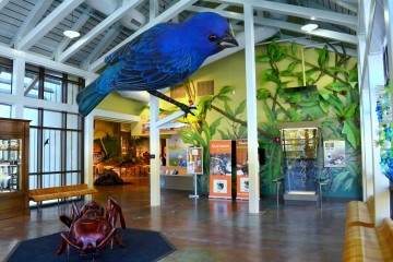 Imge of the inside of the Wilson Biophilia Center.