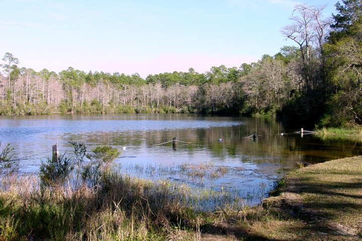 Image of the water and surroundings at Wright Lake