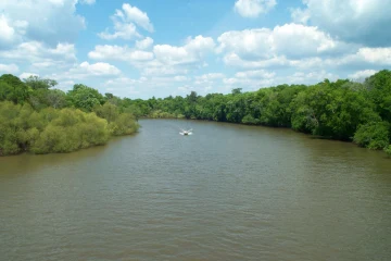 Image of the water and trees on the Choctawhatchee River.