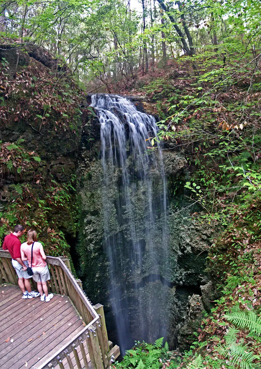 Image of couple overlooking a waterfall.
