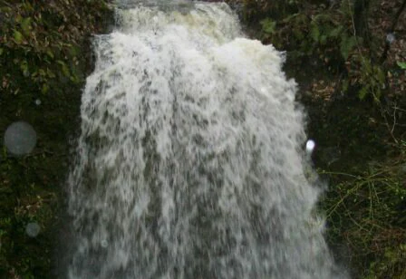 Image of the waterfall at Falling Waters State Park.