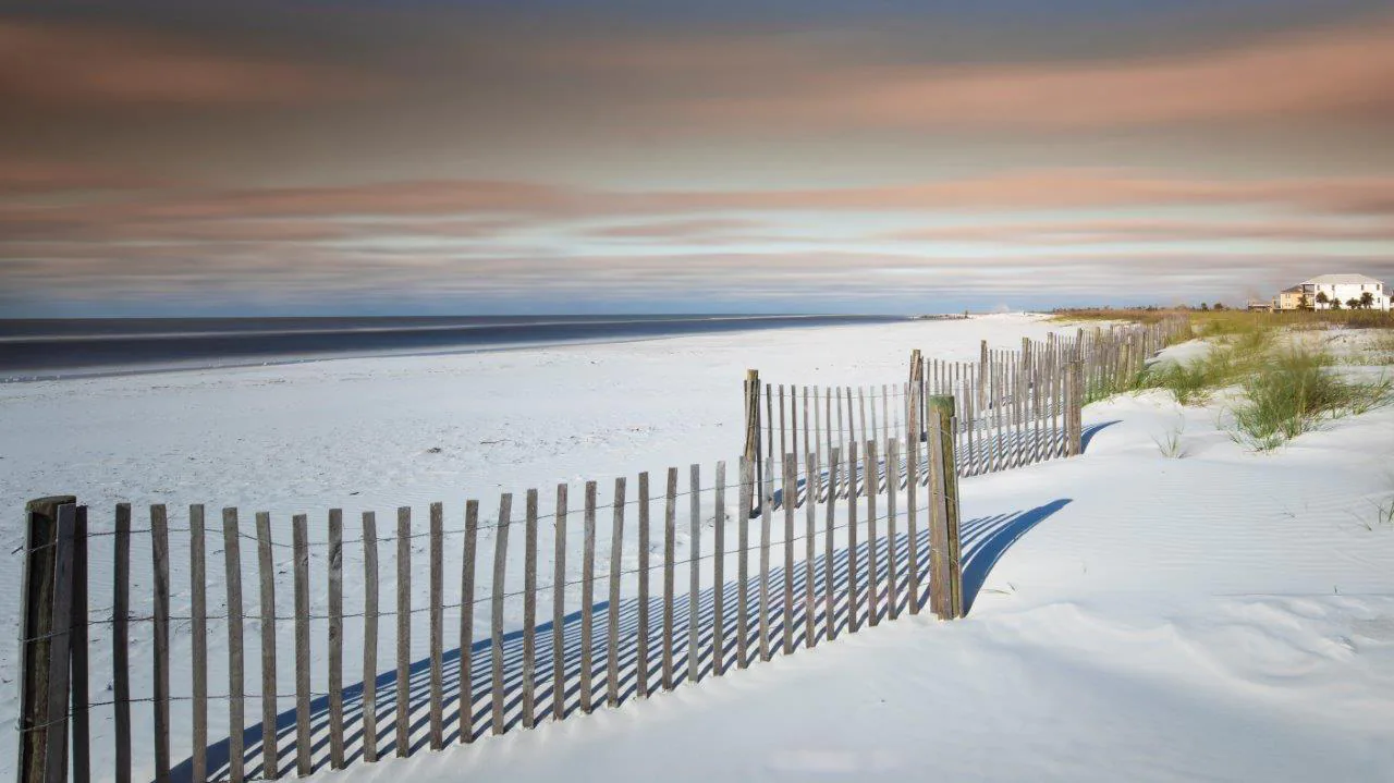 Image of white sand beach with dune fences on Mexico Beach.