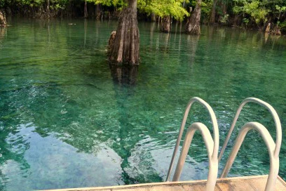 Image of the water at Morrison Springs.