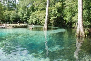 Image of the water at Ponce De Leon Springs.