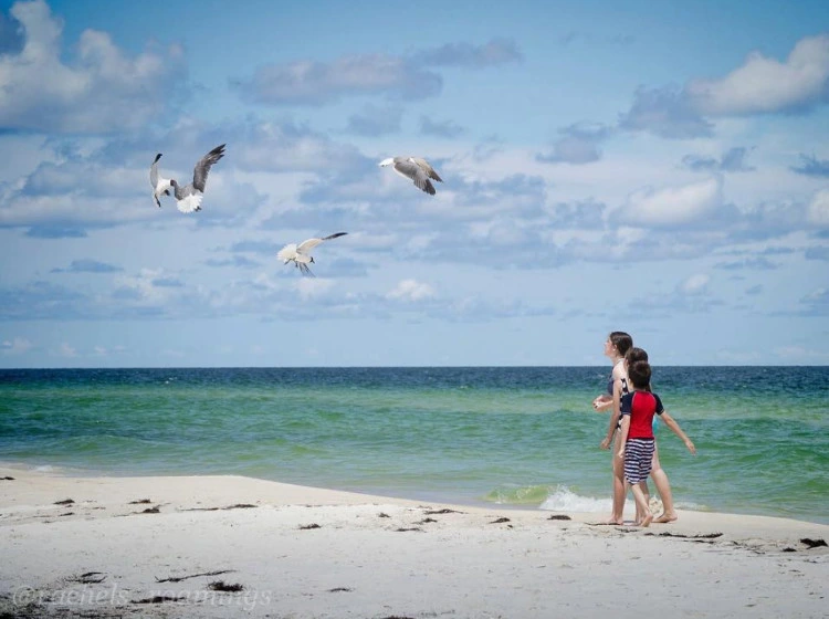 Image of kids on the beach with seagulls flying above.