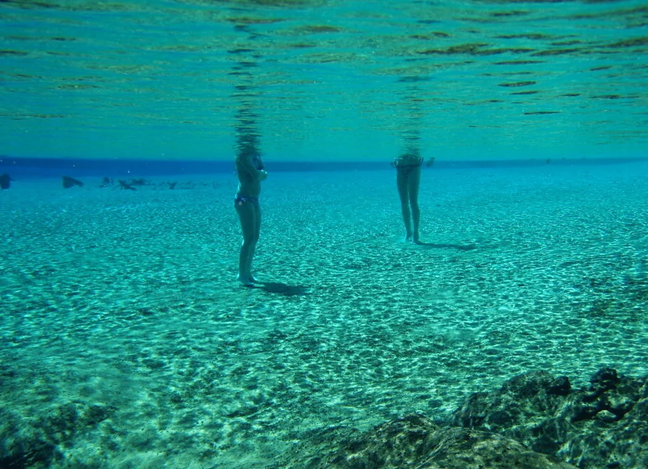 Image of two people standing in a spring.